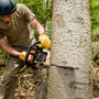 TREE CARE SERVICES