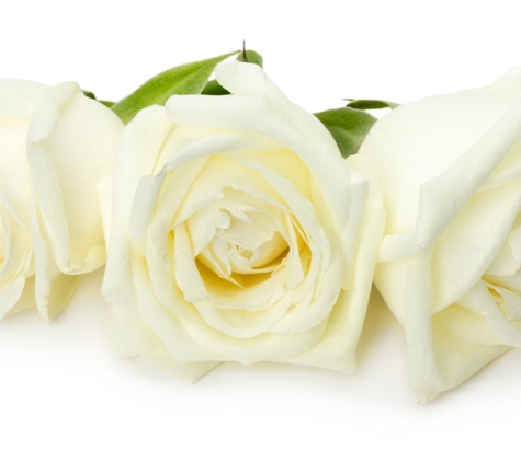 Logan & Co Funerals - Moree, NSW