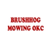 BrushHog Dave-BrushHog Mowing gallery
