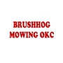 BrushHog Dave-BrushHog Mowing
