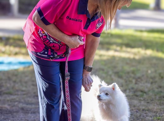 Urban Dog Training - Carindale, QLD