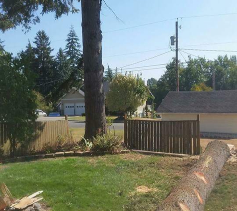 At the top tree service llc - Deming, WA