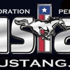 Texas Mustang gallery