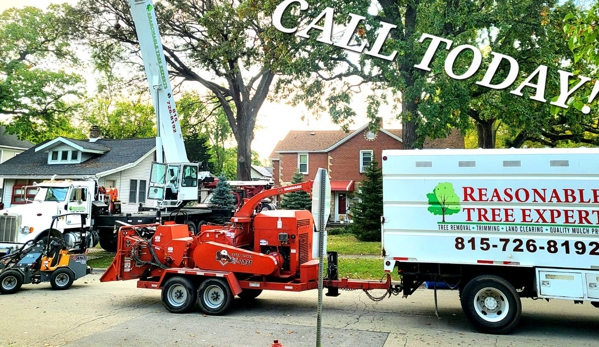 Reasonable Tree Experts - Crest Hill, IL