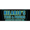 Hilario's Tree & Paving Landscaping Service Inc gallery