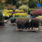 Cedar Grove Garden Center