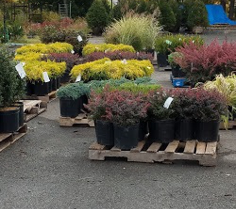 Cedar Grove Garden Center - Cedar Grove, NJ