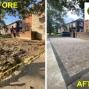 Lions Tree & Landscaping - Tree Service