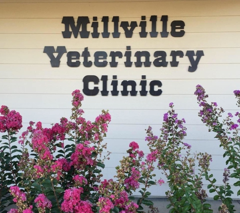 Millville Veterinary Clinic - Millville, CA