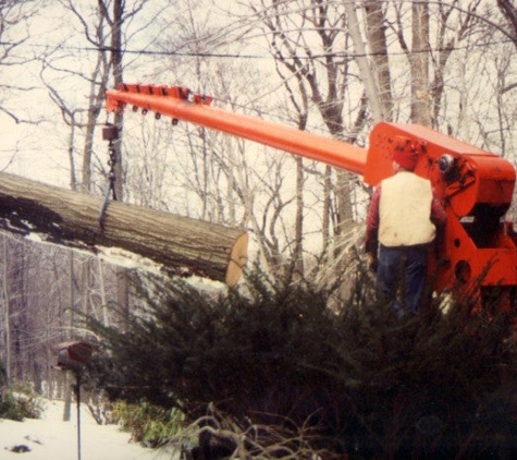 Bear Tree Service, Inc. - Port Washington, NY