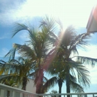 Coquina on the Beach