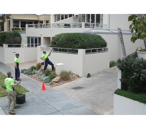 Redback Tree Services