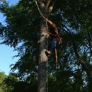 Gordon's Tree Service - Tree Service