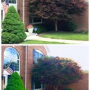 Tree Top Tree Trimming - Tree Service