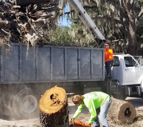 Sansom's Tree Service - Mulberry, FL