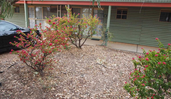 Lightning Ridge Outback Resort & Caravan Park - Lightning Ridge, NSW