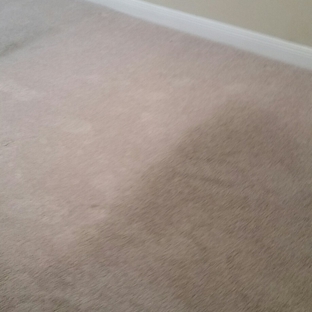 Mean Green Carpet Clean & Tile Services - Venice, FL. We love cleaning dirty carpet!