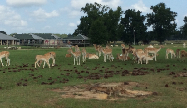 Global Wildlife Center - Folsom, LA