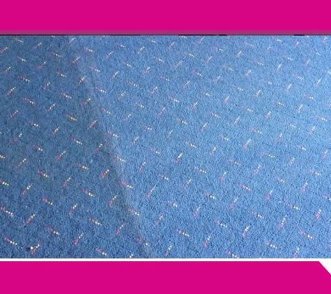 Z Best Carpet Care. Fully Qualified & Dedicated Team
