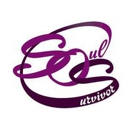 Soul Survivor Counseling Svc - Counseling Services