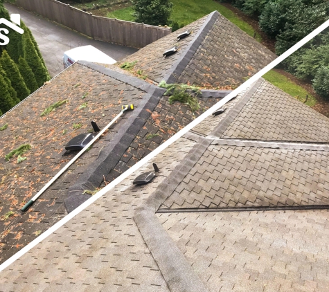 SAFE Roof Cleaning Moss Removal and Gutter Cleaning