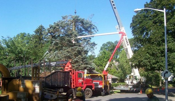 Dillon Tree Service - Shrewsbury, MA