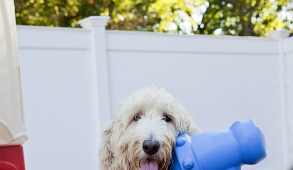 Shoreline Pet Lodge - Branford, CT