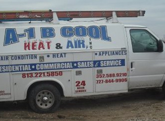 A-1 B Cool Heat & Air - Dade City, FL