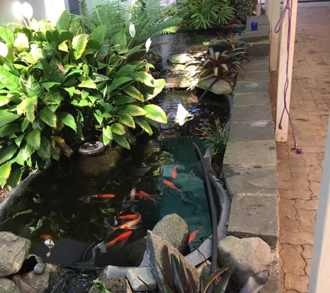 Steven Clark's Garden Maintenance - Carbrook, QLD