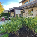 Silver Trident Winery Tasting Home - Wineries