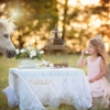 Half Pint Pony Parties & Petting Zoo gallery