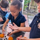 Montessori Children's Academy