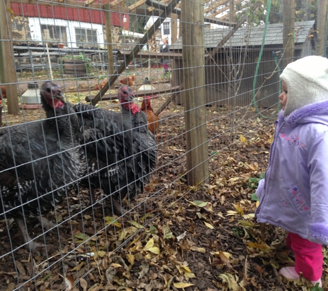 Highland Orchards - Wilmington, DE