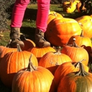 Paulson's Pumpkin Patch Inc - Fruit & Vegetable Markets