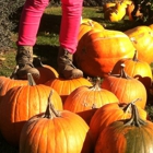 Paulson's Pumpkin Patch Inc