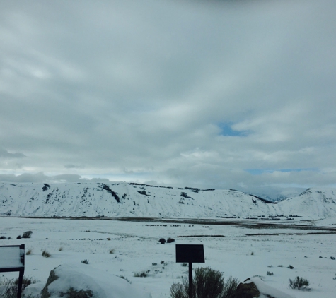 National Elk Refuge - Jackson, WY