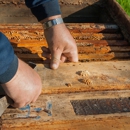 All American Termite and Pest Control - Pest Control Equipment & Supplies