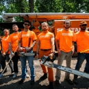 Spartan Tree and Landscape - Tree Service