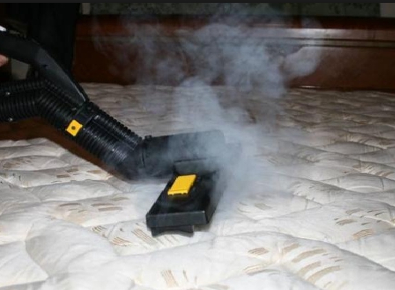 Cincinnati Bed Bug Removal Co. - Cincinnati, OH