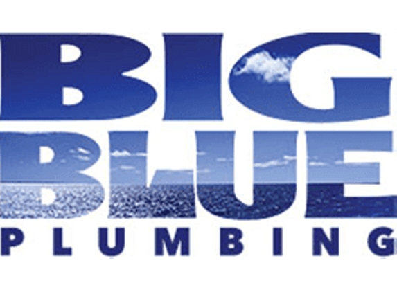 Big Blue Plumbing - Alameda, CA