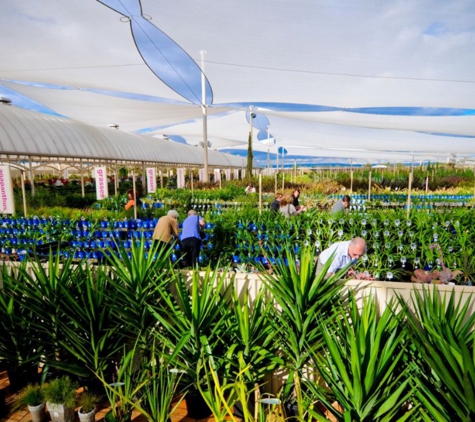 Virginia Nursery Pty Ltd - Virginia, SA