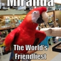 Kookaburra Bird Shop, LLC