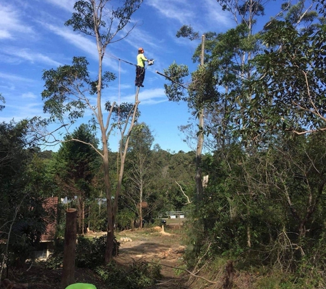 Micks Tree Worx - Coes Creek, QLD