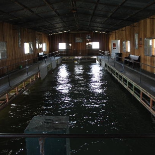 Wild Duck Marina - Brownwood, TX