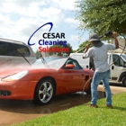 Cesar cleaning solutions