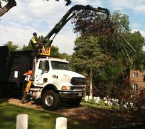 Appalachian Tree Service - Kennesaw, GA