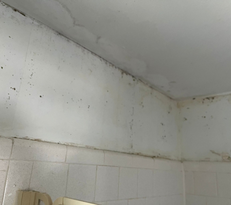 FDP Mold Remediation of Bethesda - Bethesda, MD