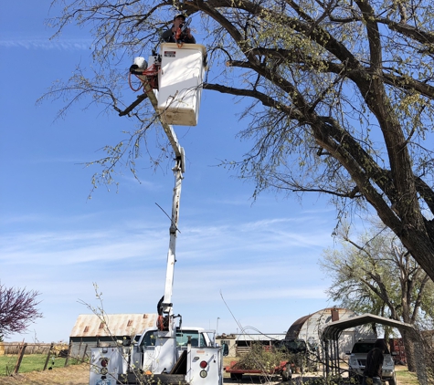 Specialty Tree Service ( Owner: George Slawson, Jr ) - Edmond, OK