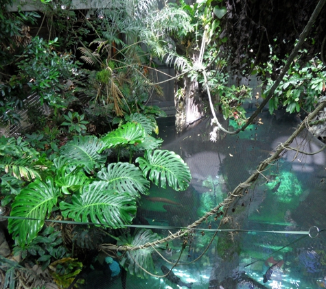 California Academy of Sciences - San Francisco, CA