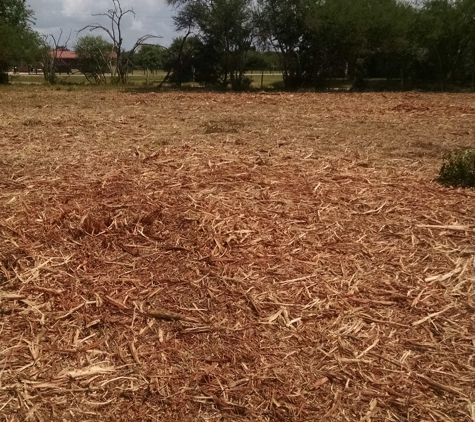 Extreme Under Brushing - Conroe, TX